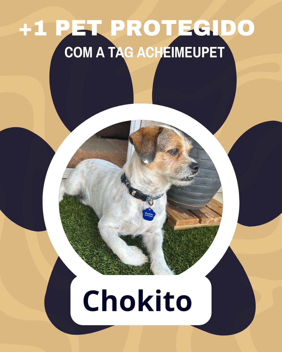 Chokito