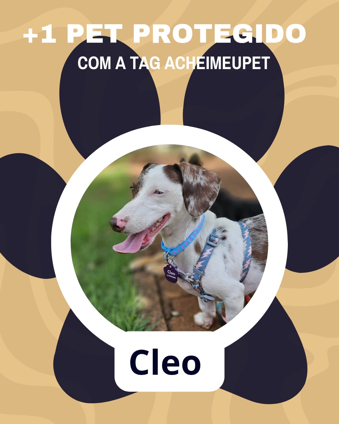 Cleo