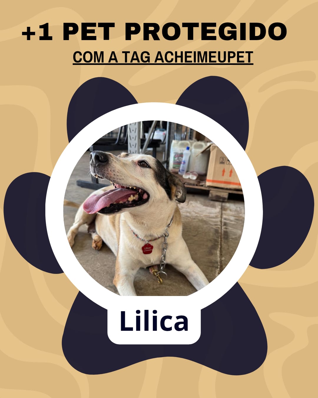 Lilica