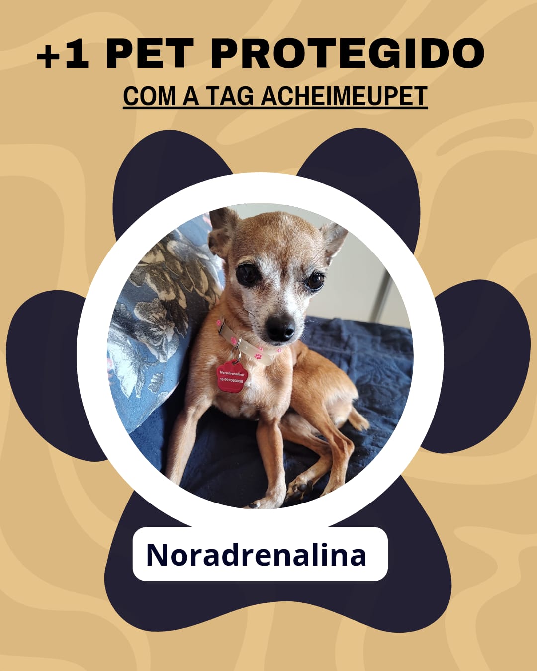Noradrenalina