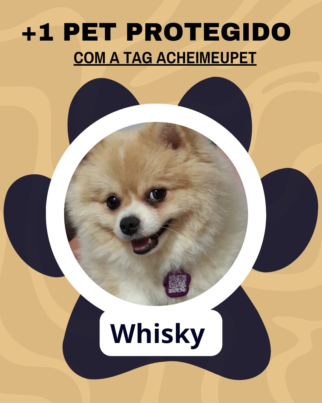Whisky