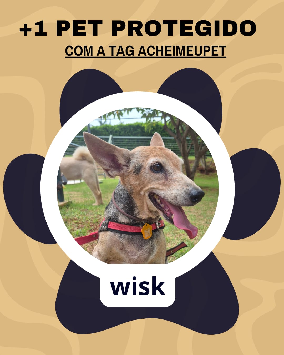 Wisk